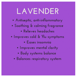 Lavender-CHI-Benefits