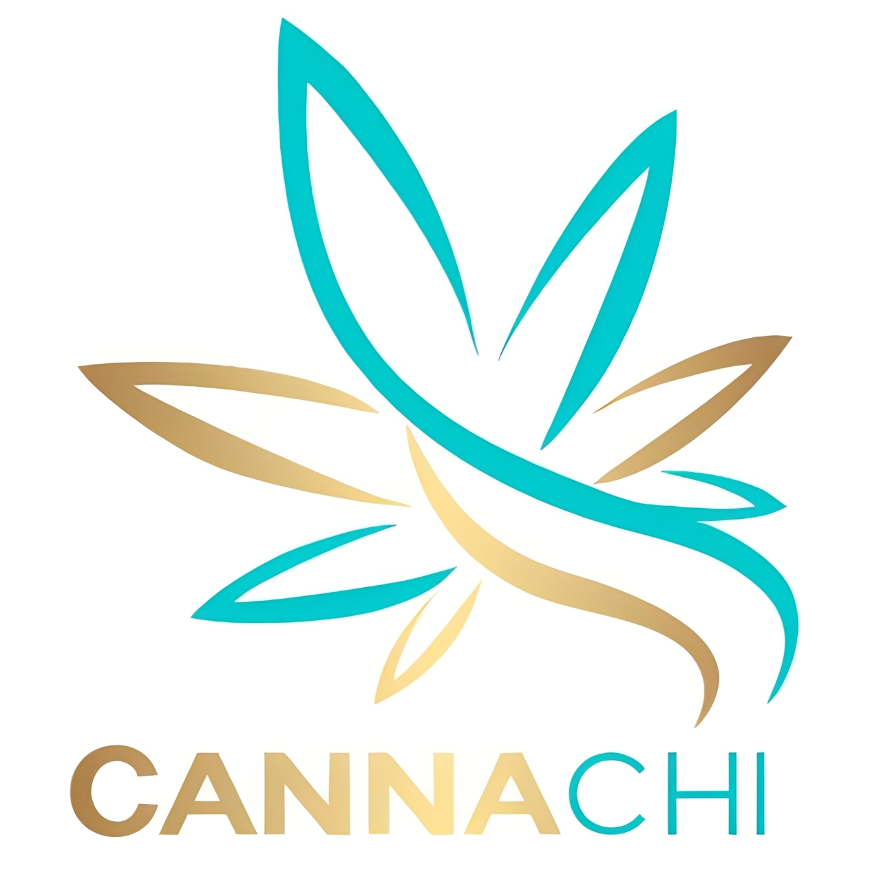 Canna-Chi